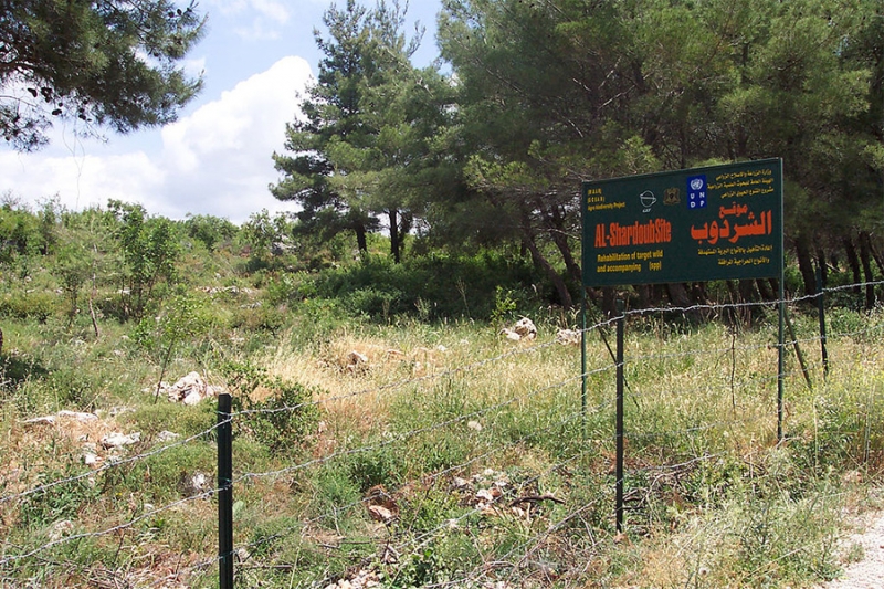 Sub-regional program to combat desertification in West Asia (SRAP) rehabilitation of degraded rangelands