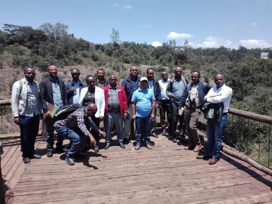 Enhanced Management of Protected Areas Estate