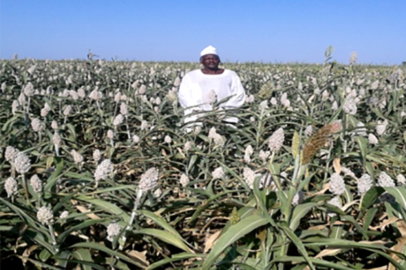 حصاد المياه والزراعة المحافظة