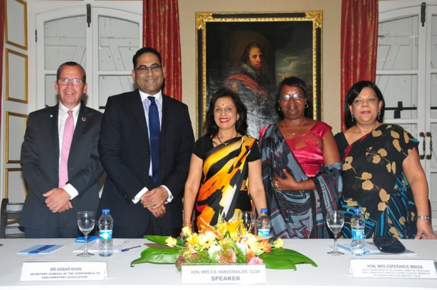 Mainstreaming gender in policies and programmes at the legislature and the executive