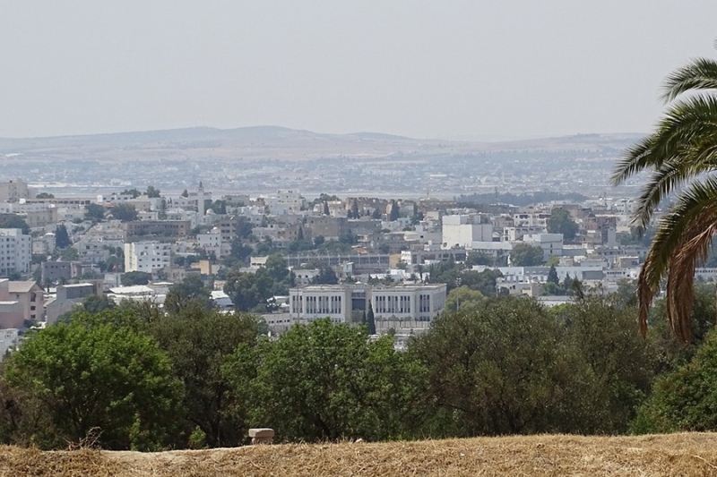 السياسة الجنسانية والإسكان في تونس