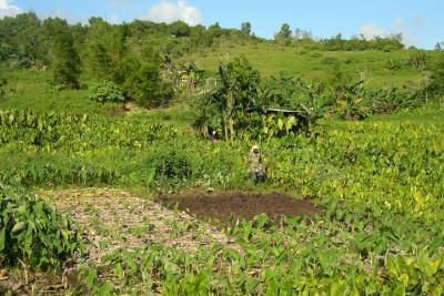 Portable Tool to Measure Carbon Levels in Soil