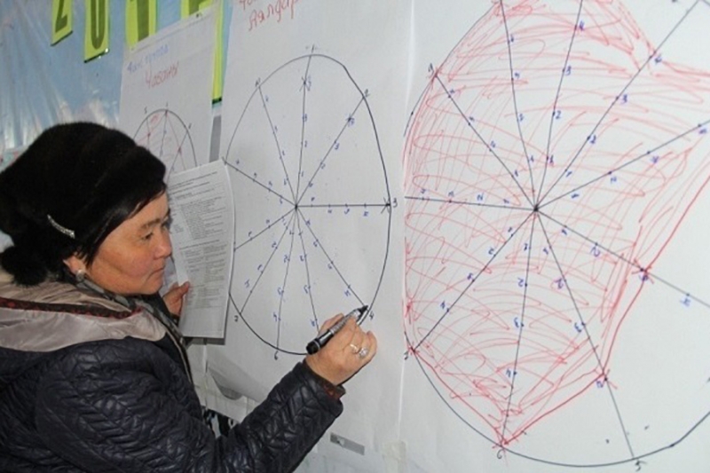 منظمات مستخدمي المراعي في جمهورية قيرغيزستان