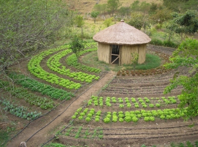 Support for the development of the PAIS (Integrated and Sustainable Agroecological Production) Program in Senegal
