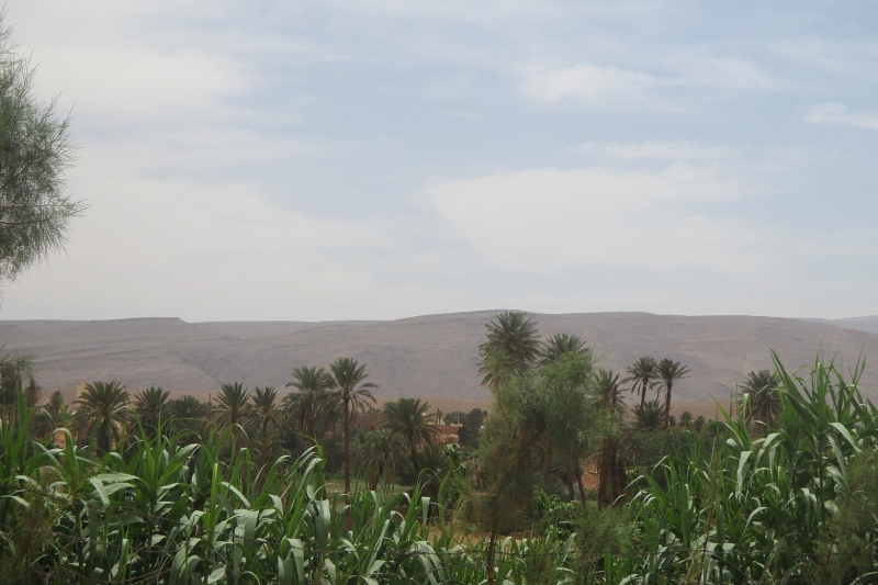 Public Private Partnership in Agriculture