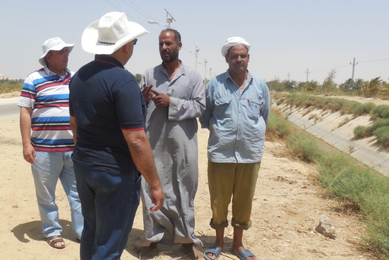 Quinoa as a Promising Non-traditional Crop for Marginal Lands in Egypt