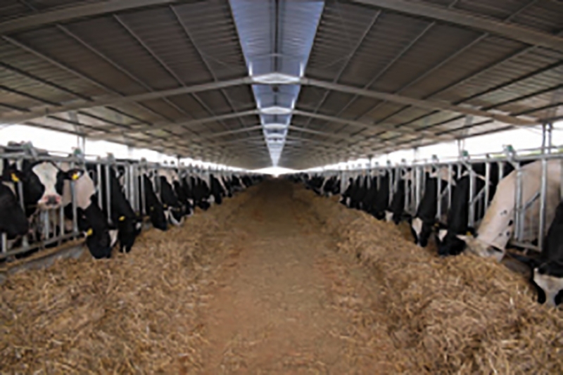 (النظام الوطني لتحديد وتحديد الحيوانات (سنيت