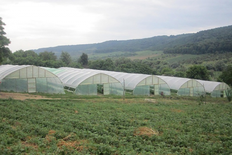 التحول إلى زراعة الحفظ من أجل بناء القدرة على الصمود أمام تغير المناخ