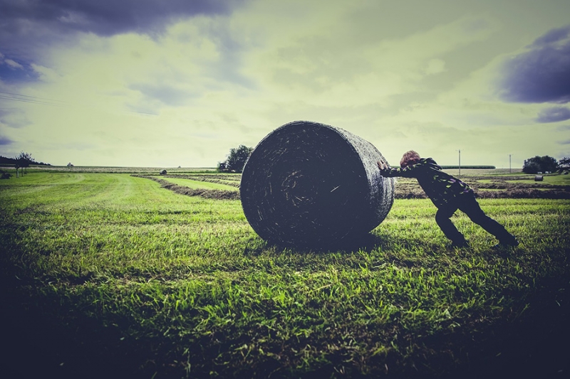 تسجيل المزارع الأسرية وإمكانية الوصول إلى الأسواق عن طريق سلاسل الإمدادات الغذائية القصيرة