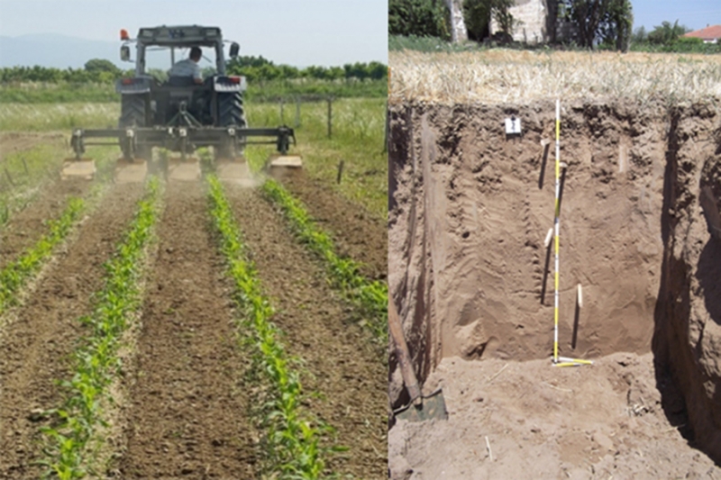 (بب في الزراعة: المديرية العامة للبحوث والسياسات الزراعية (تاجيم