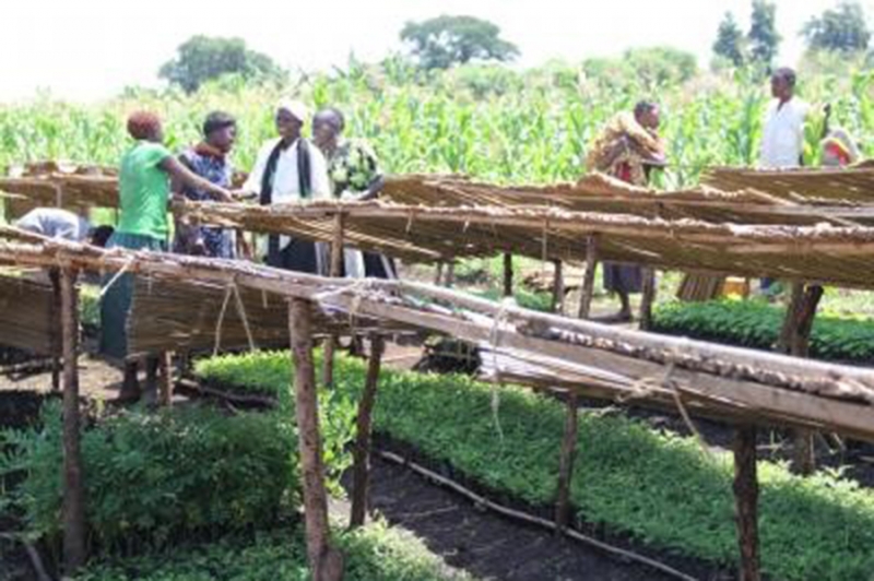 Global Ecosystems Based Adaptation in Mountains Programme