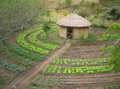 Поддержка развития программы PAIS (Комплексное и устойчивое агроэкологическое производство) в Сенегале