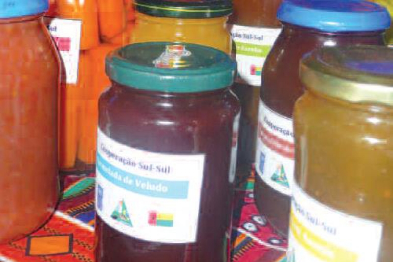 دعم إعادة تأهيل الأراضي المنخفضة وتجهيز الزراعة والثروة الحيوانية (المشروع الثالث)، صندوق إيبسا