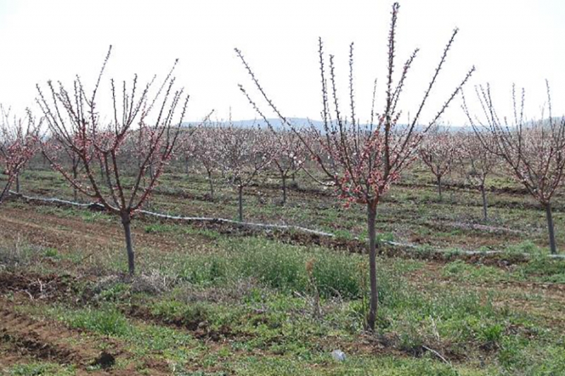 Онлайновый информационный инструментарий для доступа к финансированию (Инструмент для содействия вступлению в развитие сельских районов (IPARD) в Македонии