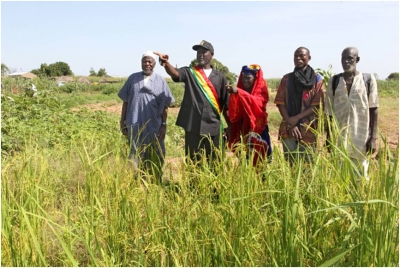 Investment Clubs for local development