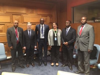 Центры цензуры данных с электронным сбором данных в Африке