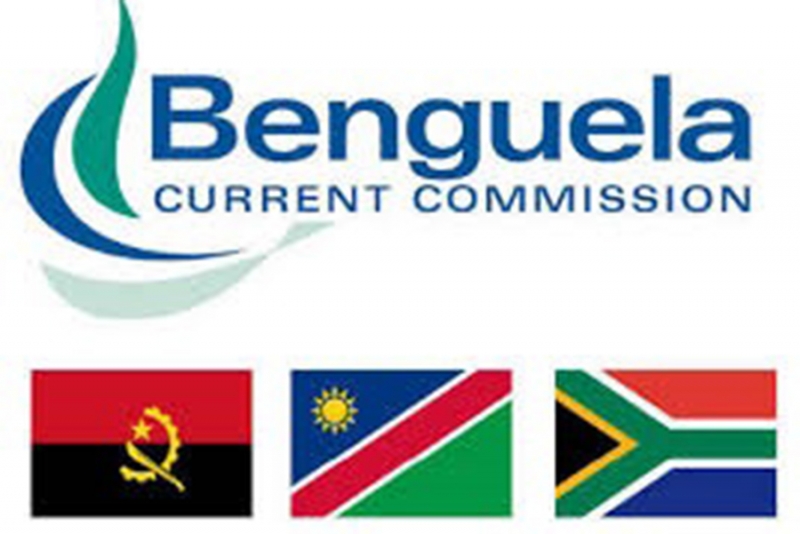 The Benguela Current Large Marine Ecosystem (BCLME) Programme