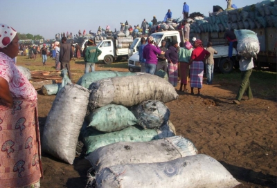 Ethanol Cooking Oil Plant