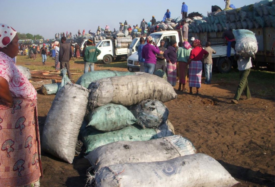 Ethanol Cooking Oil Plant