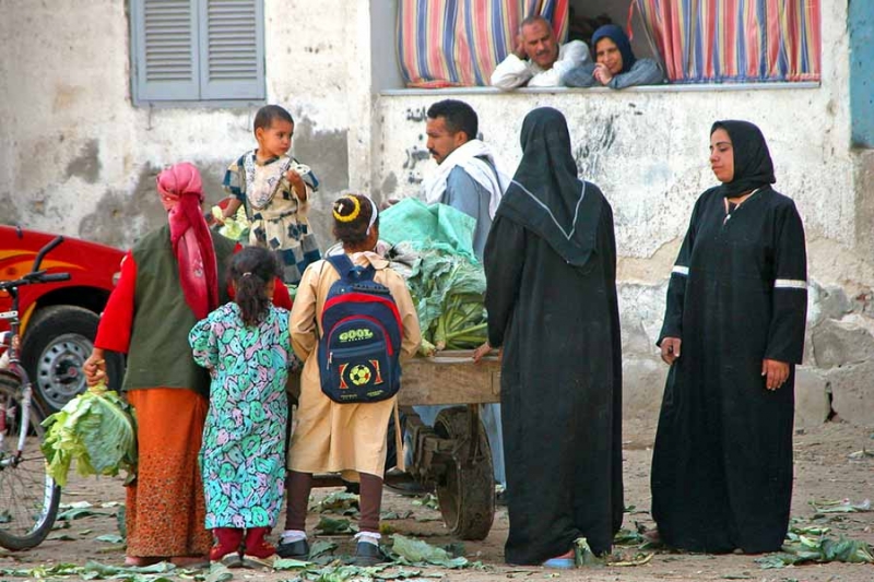 Women for Solar Electrification of Rural Villages