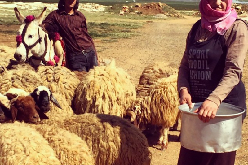 Система Аль-Хима: средство расширения прав и возможностей женщин