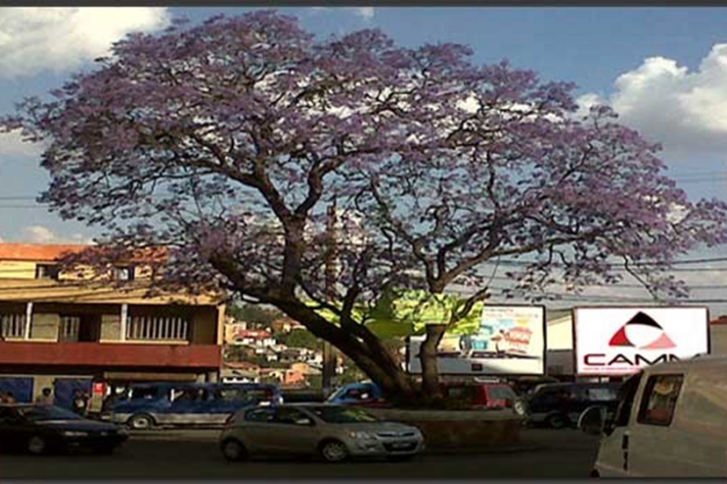 تبادل الخبرات وأفضل الممارسات بين مراكز التحكيم والوساطة في مدغشقر وبوركينا فاصو